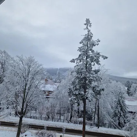 Górska Panorama *